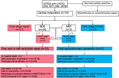 Congenitally corrected transposition with left ventricular outflow obstruction and cardiac malposition: One-and-a-half ventricular repair vs. Fontan pathway?